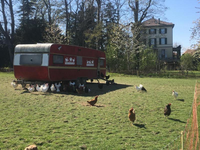 Bodensee Moosburg Biohof Am See Güttingen Esterno foto