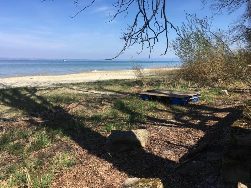 Bodensee Moosburg Biohof Am See Güttingen Esterno foto